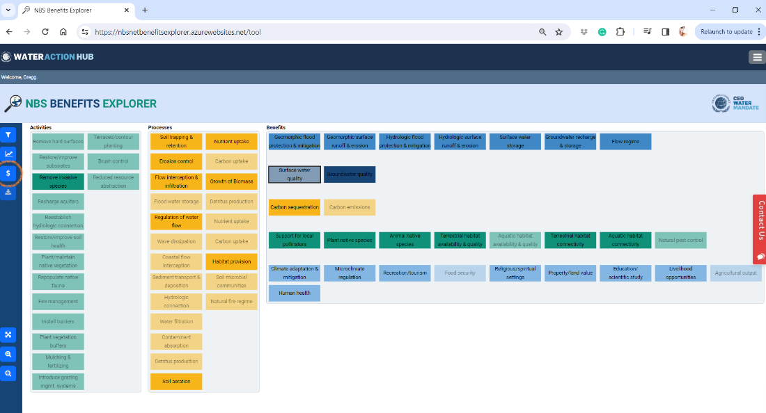 Image showing the NBS tool valuation button.